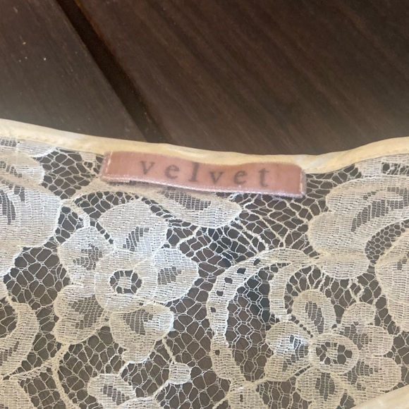 Velvet Lined Lace Dress - Picture 2 of 8